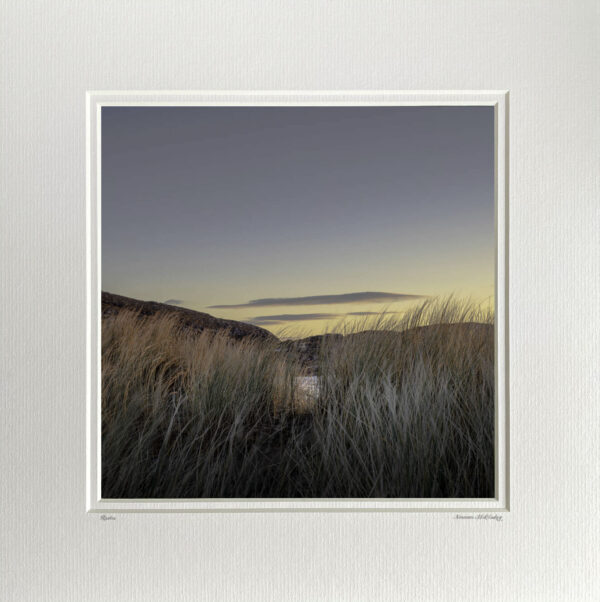 Kingdom (Limited Edition) - Image 8