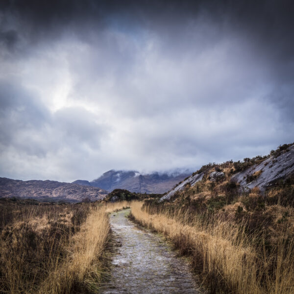 Path To Lord Brandon’s