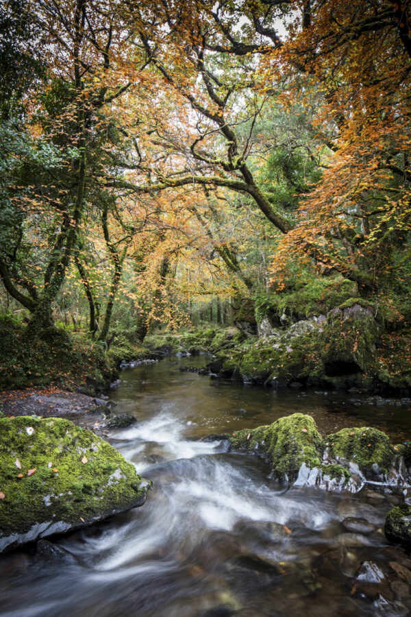 Autumn Flow Glengarriff