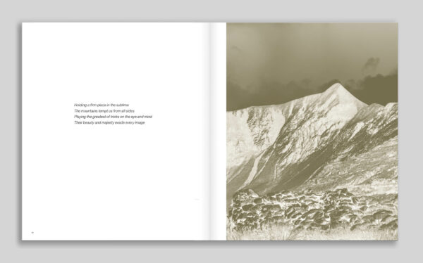 Kingdom (Limited Edition) - Image 6
