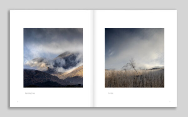 Kingdom (Limited Edition) - Image 7
