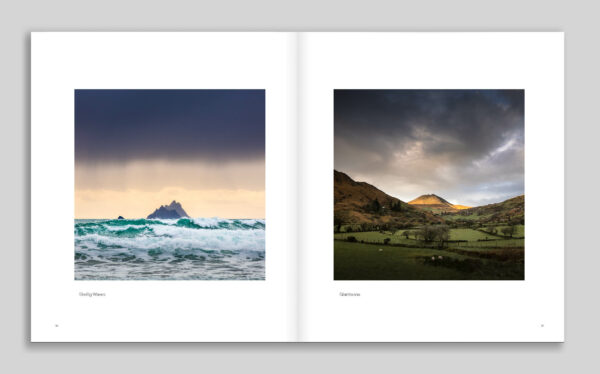Kingdom (Limited Edition) - Image 12