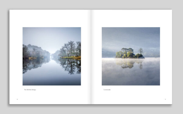 Kingdom (Limited Edition) - Image 13