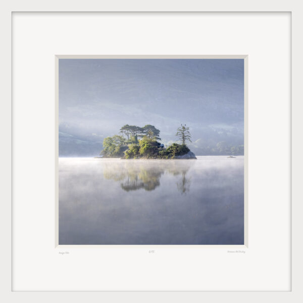 Cormorants - Image 2