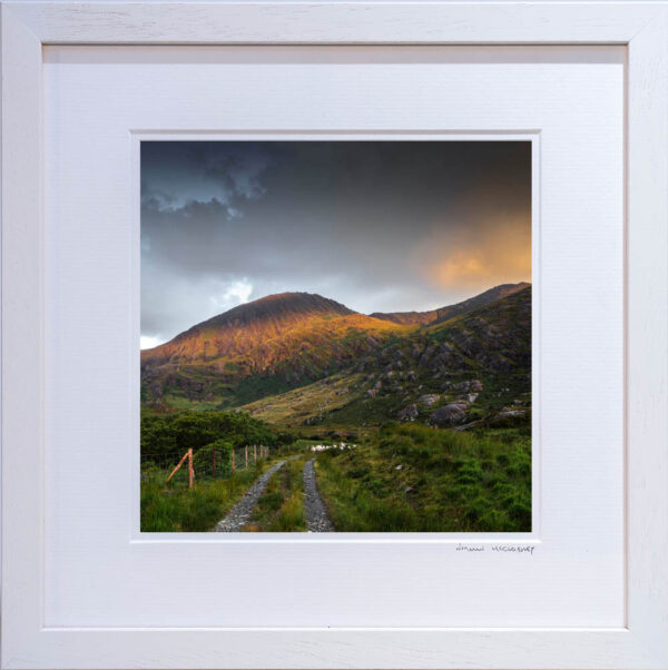 Beara Sheep - OPEN - Image 2