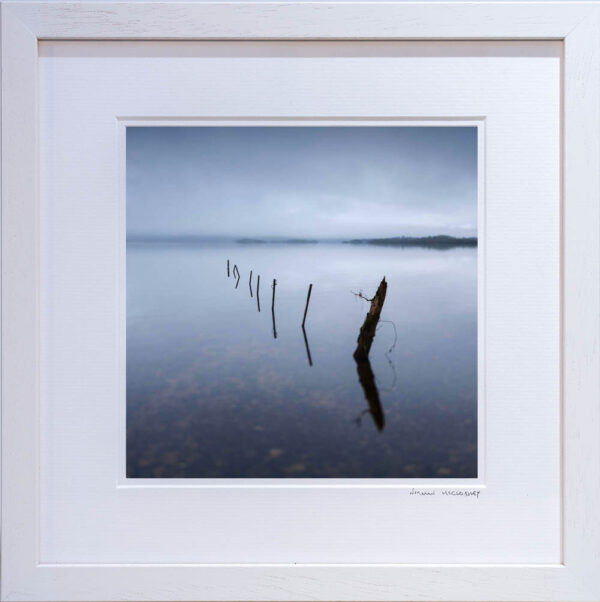 Lake Fence Posts - OPEN - Image 2