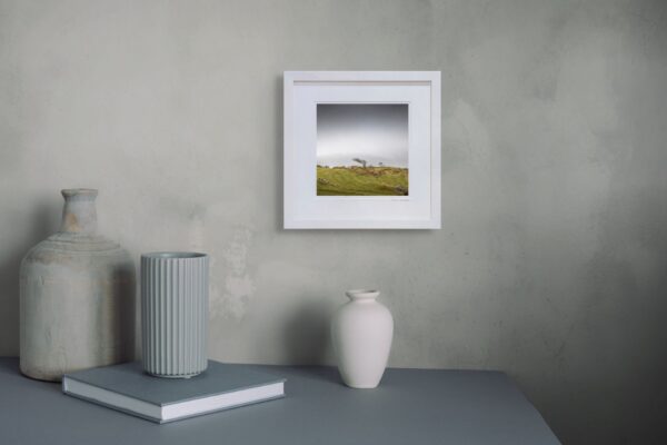 Burren Tree - OPEN - Image 3