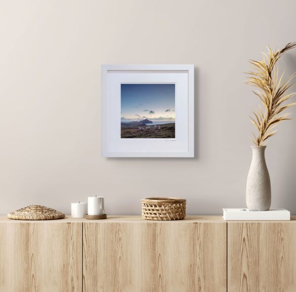 Dingle Sheep - OPEN - Image 3