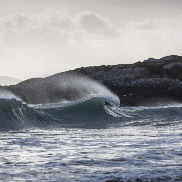 Castlecove Surf - OPEN