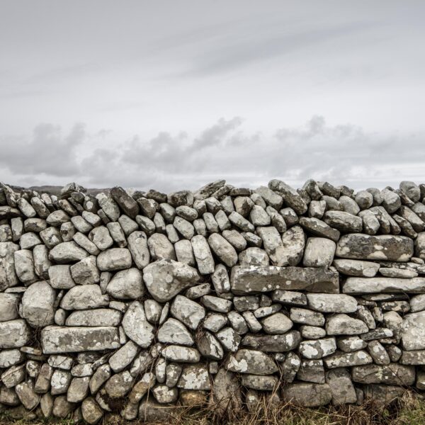 Beara Wall - OPEN