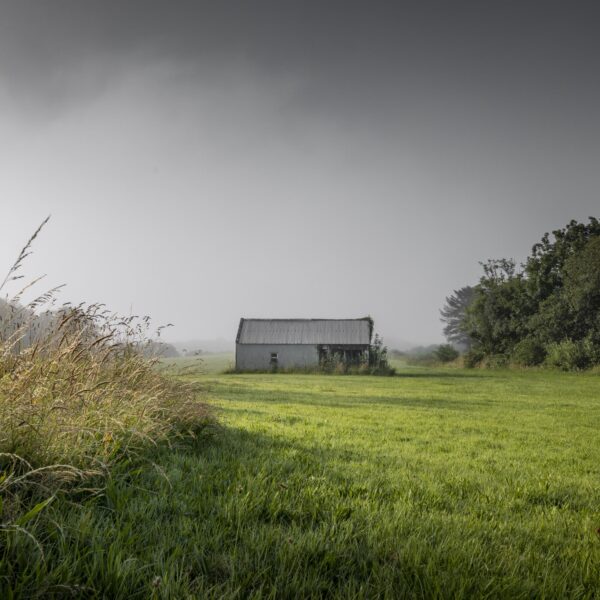 Shed Templenoe - OPEN