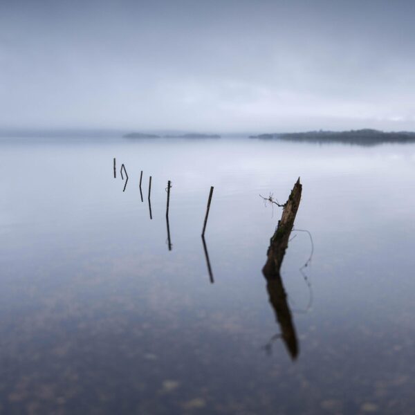 Lake Fence Posts - OPEN