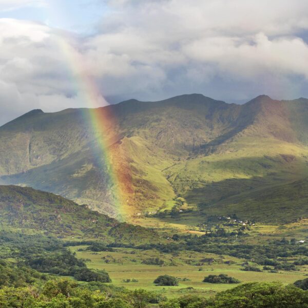 Reeks Rainbow - OPEN