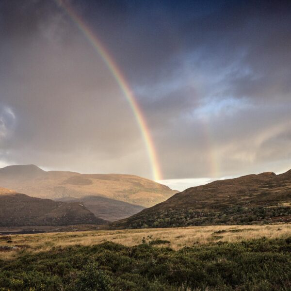 Killarney Rainbow - OPEN