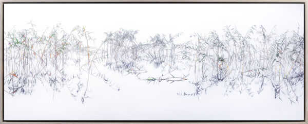 Fishes in Reeds - Image 4