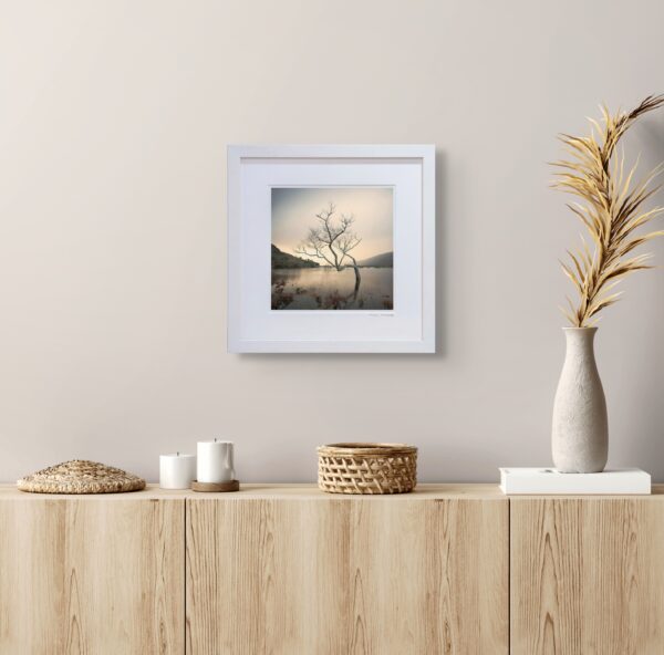 Upper Lake Tree - OPEN - Image 3